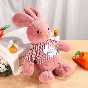Personalisierte Osterhase Puppe, Ostergeschenk für Enkelkind, benutzerdefinierte Kaninchen Spielzeug für Neugeborene, gefüllter Osterhase mit Namen, erstes Ostergeschenk