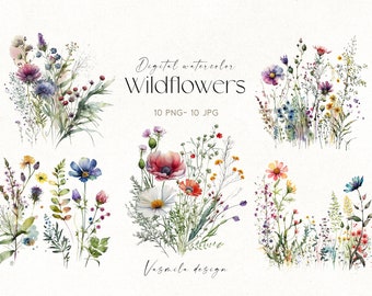 Clipart de ramo de flores silvestres en acuarela: conjunto de PNG florales (descarga digital)