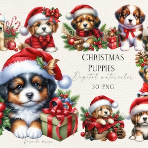 Clipart kerstpuppy, clipartbundel puppy png, kersthulst en puppy png, clipart winterdecoratie aquarel