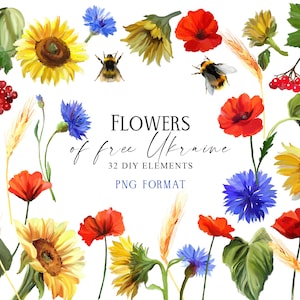 Ensemble de fleurs Png, clipart tournesol, clipart floral, éléments floraux individuels Png, clipart floral ukrainien, dessinés à la main, non générés par l'IA
