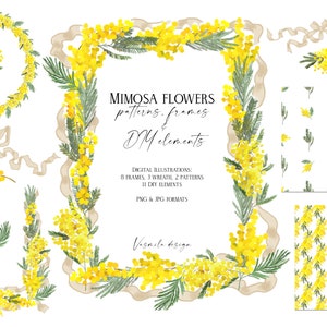 Ghirlande floreali gialle primaverili, cornici per bordi di fiori di mimosa PNG, carta digitale senza soluzione di continuità, clipart di nozze fai da te, disegnate a mano, non generate dall'intelligenza artificiale