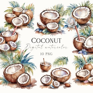 Imágenes prediseñadas de coco en acuarela, imágenes prediseñadas de coco tropical, imágenes prediseñadas de cóctel de coco, imágenes prediseñadas de agua de coco, ilustraciones de bebidas tropicales