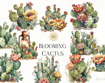 Cactus en acuarela PNG, imágenes prediseñadas de cactus en flor, 10 imágenes prediseñadas del desierto para imprimir, ilustraciones de cactus en acuarela, descarga digital