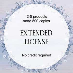 Extended License for 2-5 products. More than 500 copies. NO Credit required