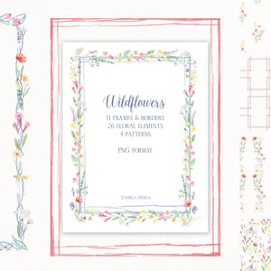 Zestaw kwiatów polnych, Letnie kwiaty polne PNG, Obramowania kwiatów PNG, Kwiaty akwarelowe, Clipart kwiatowy na baby shower, Grafika ślubna