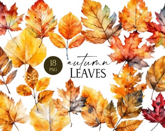 Autumn leaves clipart bundle, Fall leaves set PNG, Watercolor transparent PNG clipart, Fall design elements, Digital download