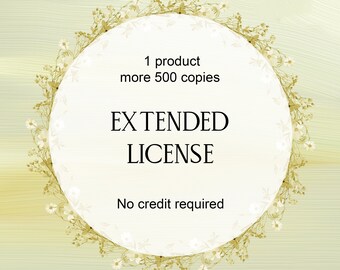 Extended License for 1 product. More than 500 copies. NO Credit required