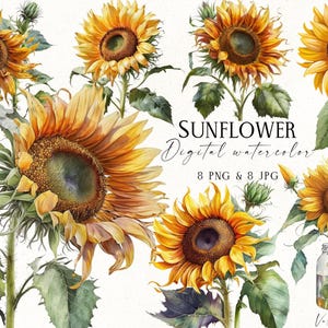 Sunflower PNG, Sunflowers Floral Clipart, Watercolor Sunflower Clipart, Flower Scrapbook Printable Graphic, Digital Download