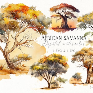 Akwarela Drzewa Sawanny PNG, Akwarela Drzewa Akacjowe, Afrykański Krajobraz Przyrody, Safari Drzewa Clipart Bundle, Pobieranie Cyfrowe