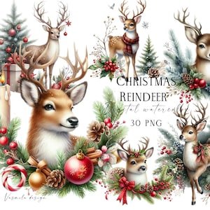 Watercolor Christmas Reindeer Clipart: Holiday PNG Bundle (30 Files) image 1