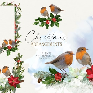 Clipart Noël, cadre hiver, bordures de fleurs de poinsettia, guirlande de nouvel an Png, oiseau rouge-gorge Png, Clipart Noël, dessiné à la main, non généré par l'IA