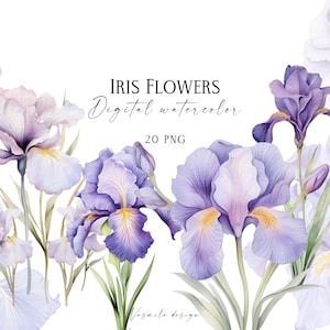 Clipart di fiori di iris in fiore ad acquerello, bouquet di iris in fiore PNG, fiori di iris ad acquerello, fiori estivi PNG, grafica per matrimoni