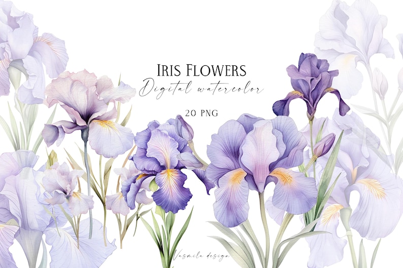 K&ouml;nnte beinhalten: Eine digitale Aquarell-Illustration von 20 lila und wei&szlig;en Iris-Blumen. Die Blumen sind in einem Strau&szlig; angeordnet und haben einen zarten, aquarellierten Look. Das Bild ist perfekt f&uuml;r die Verwendung in digitalem Scrapbooking, Kartenherstellung und anderen kreativen Projekten.