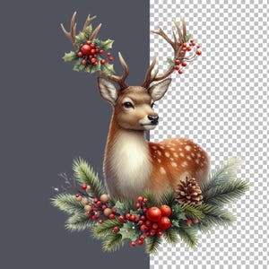 May include: A brown and white spotted deer with antlers adorned with red berries and green holly leaves. The deer is sitting in a wreath of green pine branches and red berries.