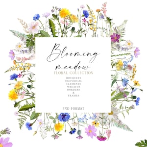 Conjunto floral de flores silvestres, clipart de flores de prado de verão, bordas florais png, clipart de flores, clipart de casamento, desenhado à mão, não gerado por IA