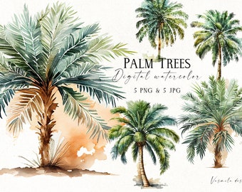 Watercolor Palm Tree Clipart: Tropical PNG & JPG (Digital Download)