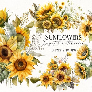 Aquarelles bouquets de tournesols, tournesol PNG, clipart rustique floral PNG, graphique imprimable album de fleurs, téléchargement numérique