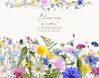 Wildflowers Borders PNG, Hand Painted floral Frames, Summer Meadow Flowers Clipart, Digital Floral Border PNG, Wedding Clipart