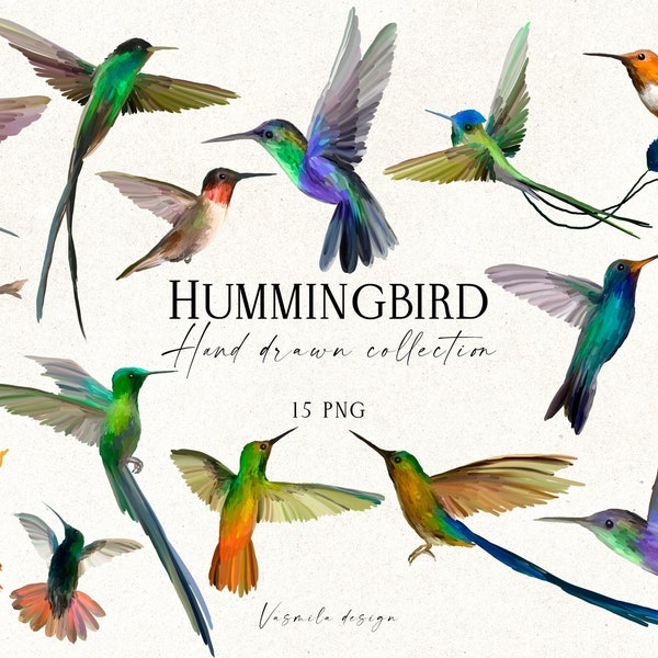 15 Hummingbird Clipart PNG, Hand Drawn Colorful birds Illustrations, Digital Art Oil Graphics, Digital clipart PNG