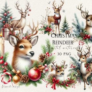 Clipart di renne di Natale, bundle di clipart PNG di renne, agrifoglio natalizio e renne PNG, clipart di decorazioni invernali ad acquerello