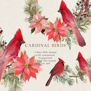 Décoration de Noël Png, Clipart oiseau cardinal, compositions de vacances d'hiver, clipart nouvel an et Noël, dessinés à la main, non générés par l'IA