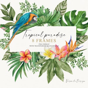 Könnte beinhalten: Aquarell-Illustration von tropischen Blättern, Blumen und einem Papagei, die einen Rahmen mit dem Text "Tropical paradise 8 frames PNG format with transparent background" bilden.