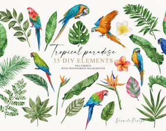 Watercolor Tropical Leaves, Parrots and Flowers Clipart, Summer DIY Elements PNG, Tropical Parrots PNG, Palm Monstera Leaves Clipart