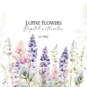Aquarel lupinebloesem grenst aan clipart, bloeiende lupineboeketten png, aquarel lupinebloemen, zomerbloemen png, bruiloftsgraphics
