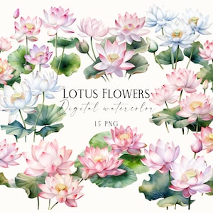 水彩蓮の花のクリップアート、睡蓮の池のクリップアート、花のクリップアート、湖の蓮のクリップアート、水彩水の花、睡蓮 PNG