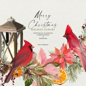 Natal Clipart Clipart, Pássaro Cardeal e Flor Poinsétia Png, Guirlandas de Inverno, Estilo Vintage de Natal, Desenhado à mão, Não gerado por IA