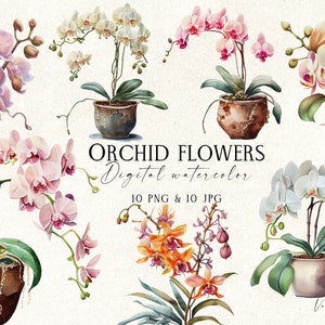 Watercolor Orchid Clipart: Floral PNG Graphics (Digital Download)