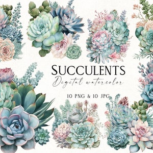 Clipart de suculentas en acuarela, paquete de cactus en acuarela imprimible, clipart de plantas PNG, gráficos digitales en acuarela, clipart digital PNG