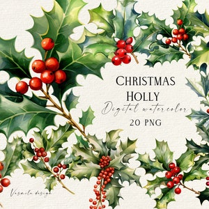 Clipart de aquarela de azevinho de Natal, azevinho de aquarela com frutas vermelhas, clipart floral festivo de Natal PNG, botânicos de Natal