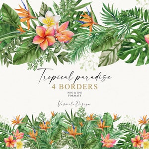 Imágenes prediseñadas de bordes tropicales de acuarela, marcos de verano Png, imágenes prediseñadas de marcos de hojas de palmera, flores tropicales Png, dibujado a mano, no generado por IA