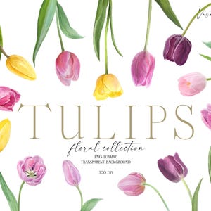 Tulp bloem clipart, lente bloemen elementen png, tulp bloemen png, bruiloft graphics, hand getrokken, DIY bruiloft clipart
