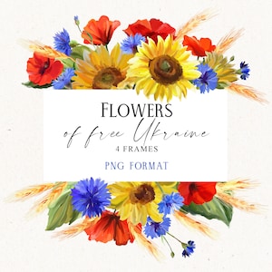 Cadres floraux Png, bordures de tournesol Png, fleurs de tournesol Png, clipart floral png, téléchargement numérique, dessinés à la main, non généré par l'IA
