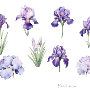 K&ouml;nnte beinhalten: Aquarell-Illustration von lila und wei&szlig;en Iris-Blumen. Die Blumen sind in verschiedenen Posen angeordnet, darunter einige mit Knospen und einige in voller Bl&uuml;te. Der Hintergrund ist wei&szlig;.