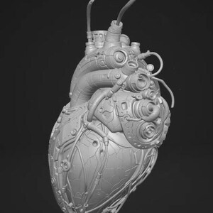 May include: A light gray anatomical heart sculpture featuring intricate mechanical details, including various pipes, tubes, wires, and circular ports integrated into the surface, creating a complex, industrial, and cybernetic appearance.
