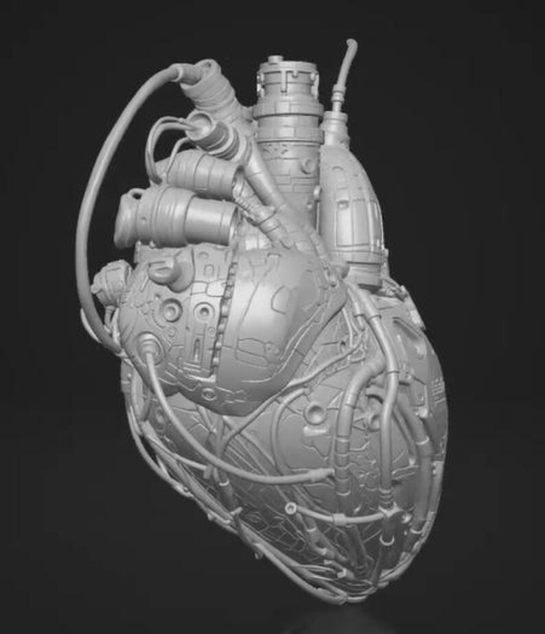 May include: A light gray, three-dimensional anatomical heart sculpture featuring intricate mechanical details, including various pipes, tubes, and segmented panels covering the surface, presented against a solid dark background.
