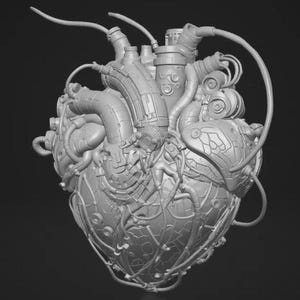 May include: A monochromatic gray sculpture of a human heart integrated with mechanical components. The anatomical structure features various tubes, wires, and metallic plates covering the surface, creating a complex, industrial, and cybernetic appearance.