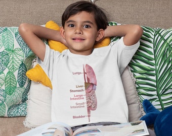 Internal Organs Kids T-Shirt – Young Scientist Gift