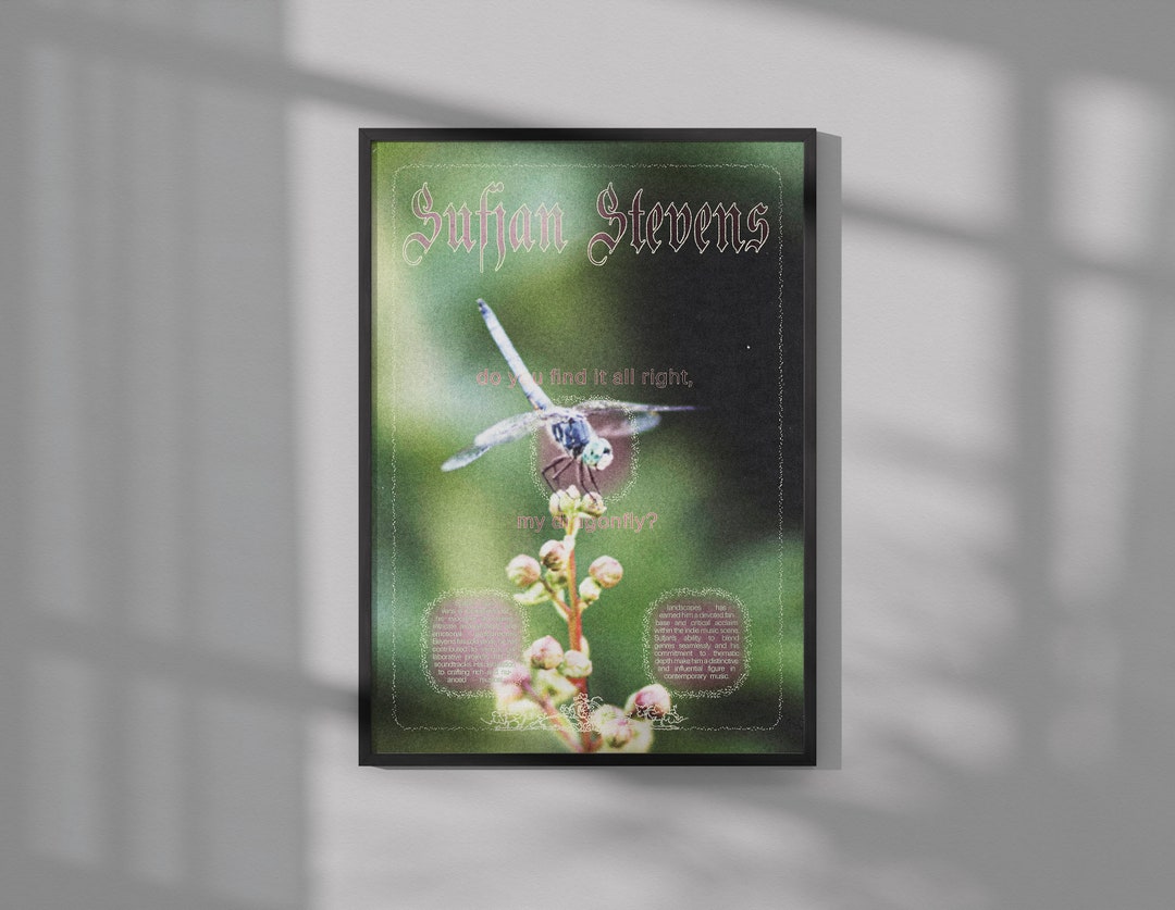 Sufjan Stevens Poster Music Poster Wall Art Wall Decor - Etsy