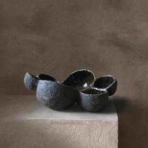 Può includere: Una ciotola in ceramica grigio antracite scuro con una forma organica irregolare a più lobi. La superficie esterna presenta una finitura ruvida, grezza e testurizzata, mentre l'interno della ciotola è liscio, lucido e di colore scuro.