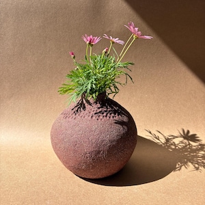 Può includere: Un vaso in ceramica bordeaux, strutturato, di forma rotonda, che contiene un gruppo di foglie verdi e diversi fiori rosa. Il vaso ha una texture a motivi intorno alla parte superiore. Lo sfondo è di colore marrone pieno, con ombre proiettate dai fiori.