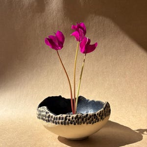 Puede incluir: Un pequeño cuenco de cerámica redondo con un borde texturizado de manchas oscuras y una base lisa de color crema. El interior es oscuro y brillante. Tres vibrantes flores de ciclamen magenta con tallos finos y claros están en el cuenco.