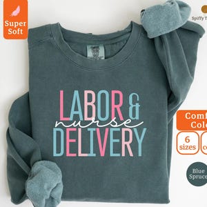Labor and Delivery Nurse Sweatshirt, L and D Sweatshirt, L and D Nurse Gift, Labor Nurse Shirt, Labor Delivery Nurse Gift, LD Nurse Crewneck
