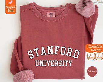 Custom College Letter Sweatshirt, Comfort Colors Crewneck, Personalized Vintage Crewneck,Minimalist Graduation Gift,College Letters Pullover