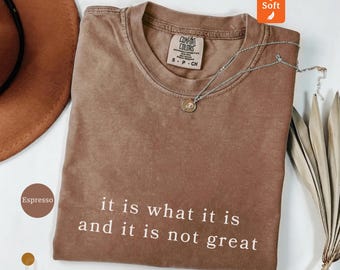 Comfort Colors Sarcastic Humor T-Shirt It Was What It Is Not Great Mental Health Funny Adult Humor Casual Tee