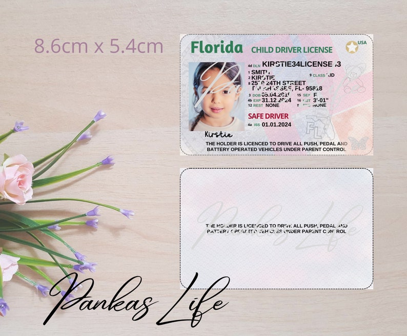 Pretend Play Usa Driver License for Kids, Florida Driving Licence ...
