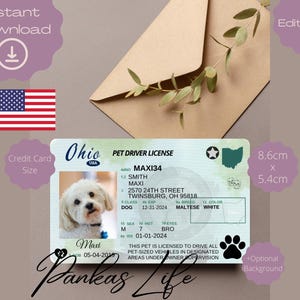Bewerkbare Pretend Play Usa rijbewijs voor huisdieren, Ohio rijbewijssjabloon, afdrukbare dierenspeelgoedlicentie, hondenrijbewijs huisdier-ID